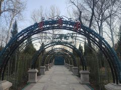 -济南植物园