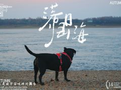 -茅兰沟国家森林公园