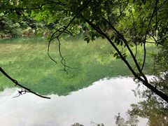 -石台牯牛降景区