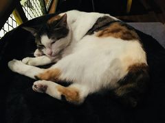 -蜉蝣酒吧(仓山万达店)