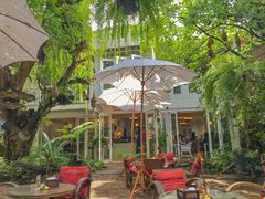 -Fern Forest Cafe