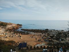 -广东惠东海龟国家级自然保护区