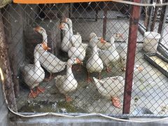 -鱼窝棚柴火铁锅炖(富山屯店)