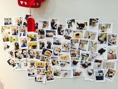 -PETKIT 小佩宠物·低压洗护·美容·寄养(安远店)