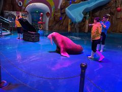 -烟台海昌鲸鲨海洋公园