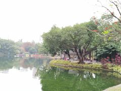 -晓港公园