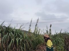 -东极岛景区