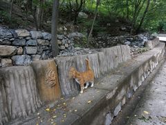 -北京上方山国家森林公园
