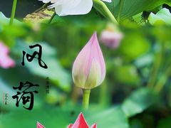 -黄兴公园