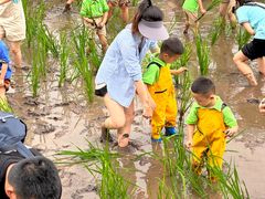 -宾果蒙特梭利托育儿童之家幼儿园(爱琴海店)
