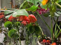 -懒人盐府人家(航天桥店)