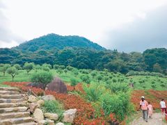 -广州市石门国家森林公园