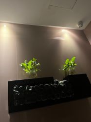 -史云逊养发护发