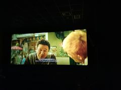 -璇宫国际影城(江汉路店)