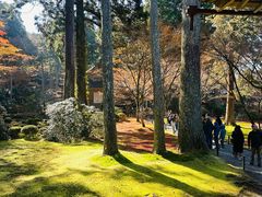 -三千院