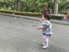 -北陵公园