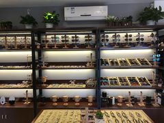 -肆兮眼镜·蔡司·徕卡战略合作店(大坪店)