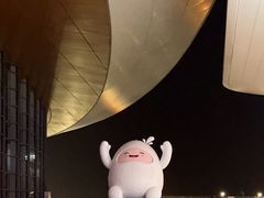 -港珠澳大桥(珠海段)
