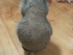 -藦茜花园宠物主题亲子互动体验馆(国顺东路店)