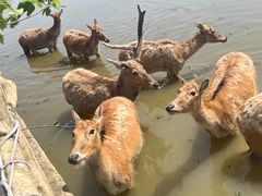 -宁波杭州湾国家湿地公园