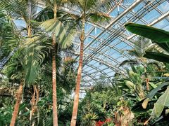 -北京植物园-展览温室