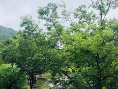 -山水间小院