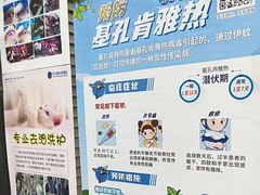 -芭比堂动物医院(广州爱宠下渡路分院)