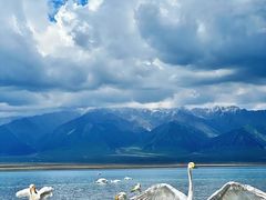 -青海湖国家重点风景名胜区