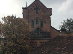 -上海佘山国家森林公园西佘山园