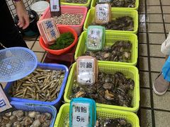 -蛇口市场