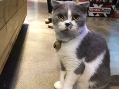 -趣陶陶艺手工坊(新世界百货重庆店)