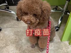 -美联众合动物医院·24h转诊中心