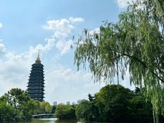 -红梅公园