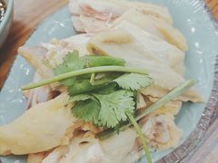 -九斤黄三黄鸡专卖店