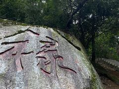 -天鹿湖森林公园