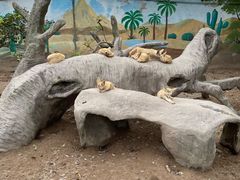 -上海野生动物园