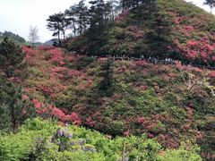 -木兰云雾山