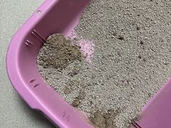 -联合动物医院(光谷诊疗中心)