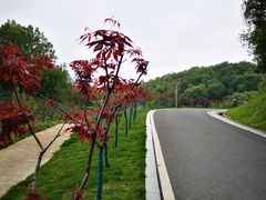 -南京市江宁方山