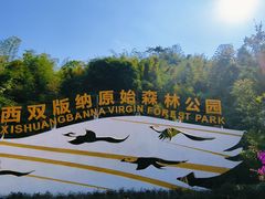-西双版纳原始森林公园