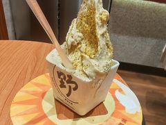 -野人先生现做冰淇淋(北京环宇荟店)