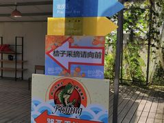 -前小桔亲子创意农场·草莓采摘·露营烧烤