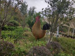 -合肥滨湖国家森林公园