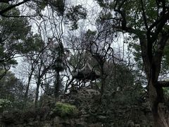 -绮园景区