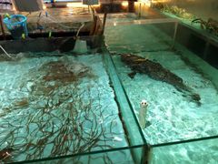 android_upload_pic-渔民新村(番禺总店)