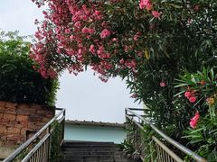 -铁路文化公园