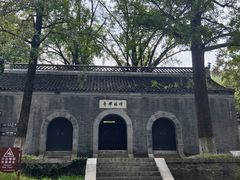 -镇江市南山风景名胜区竹林景区