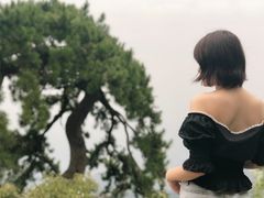 -终南山国家森林公园