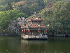 -潮镇老尾牛杂(环城西路店)