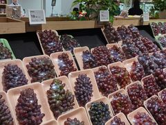 -T11生鲜超市(朝阳公园店)